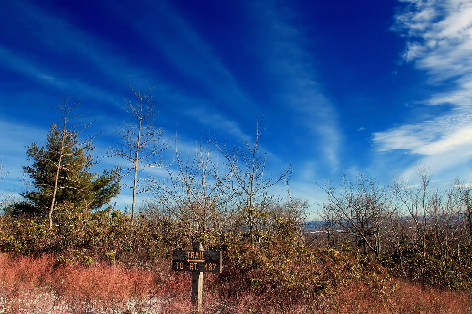 Shrubby ridge top under blue sky streaked with cirrus clouds