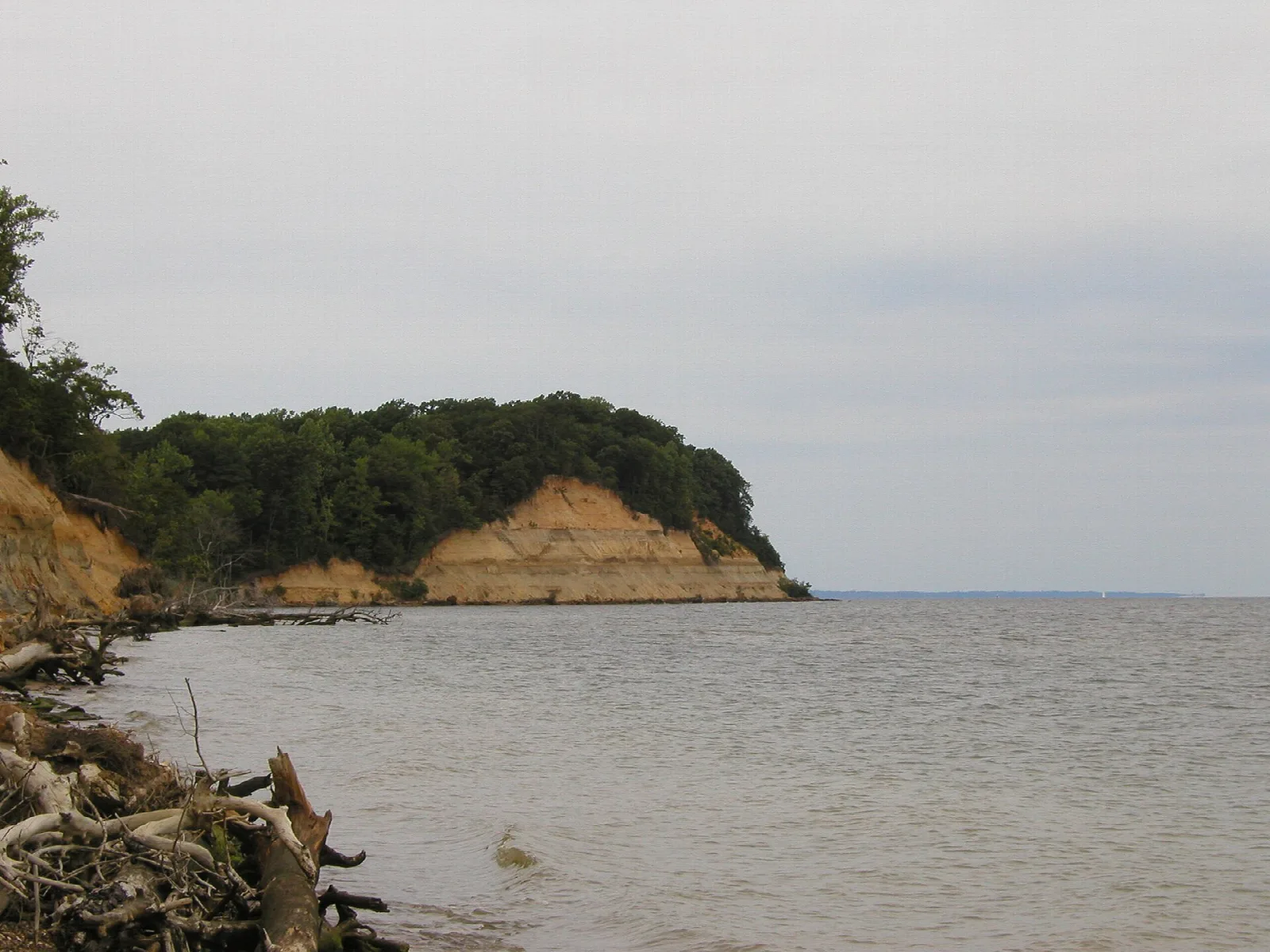 Eroding tan cliffs topped with trees above a calm bay shoreline