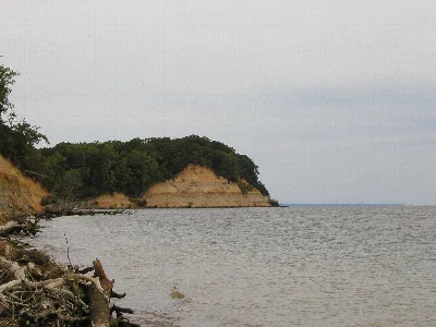 Calvert Cliffs State Park