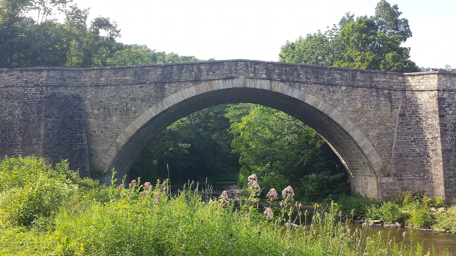 Wide stone arch bridge seen through tall grass and wildflowers