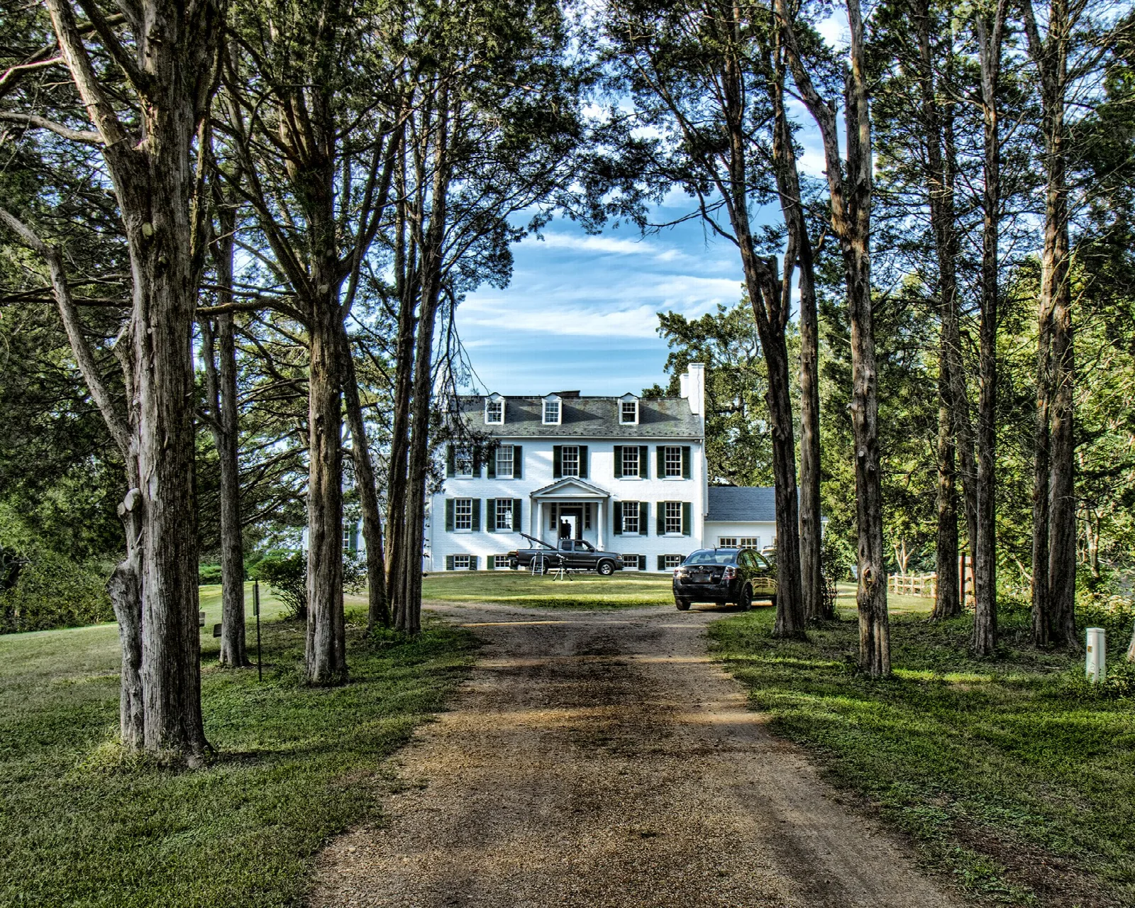 Dirt lane lined with tall trees leading to a white mansion in the distance
