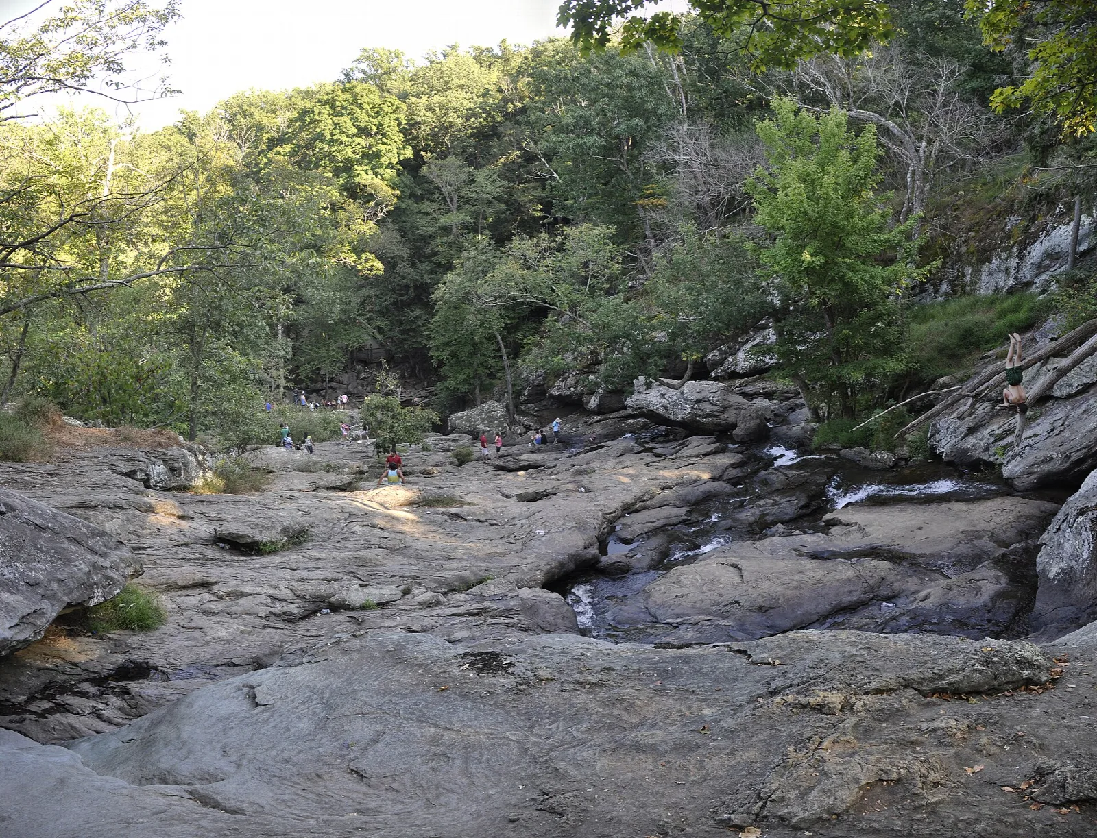 Rocky stream bed with flat boulders and green forest on the hillside