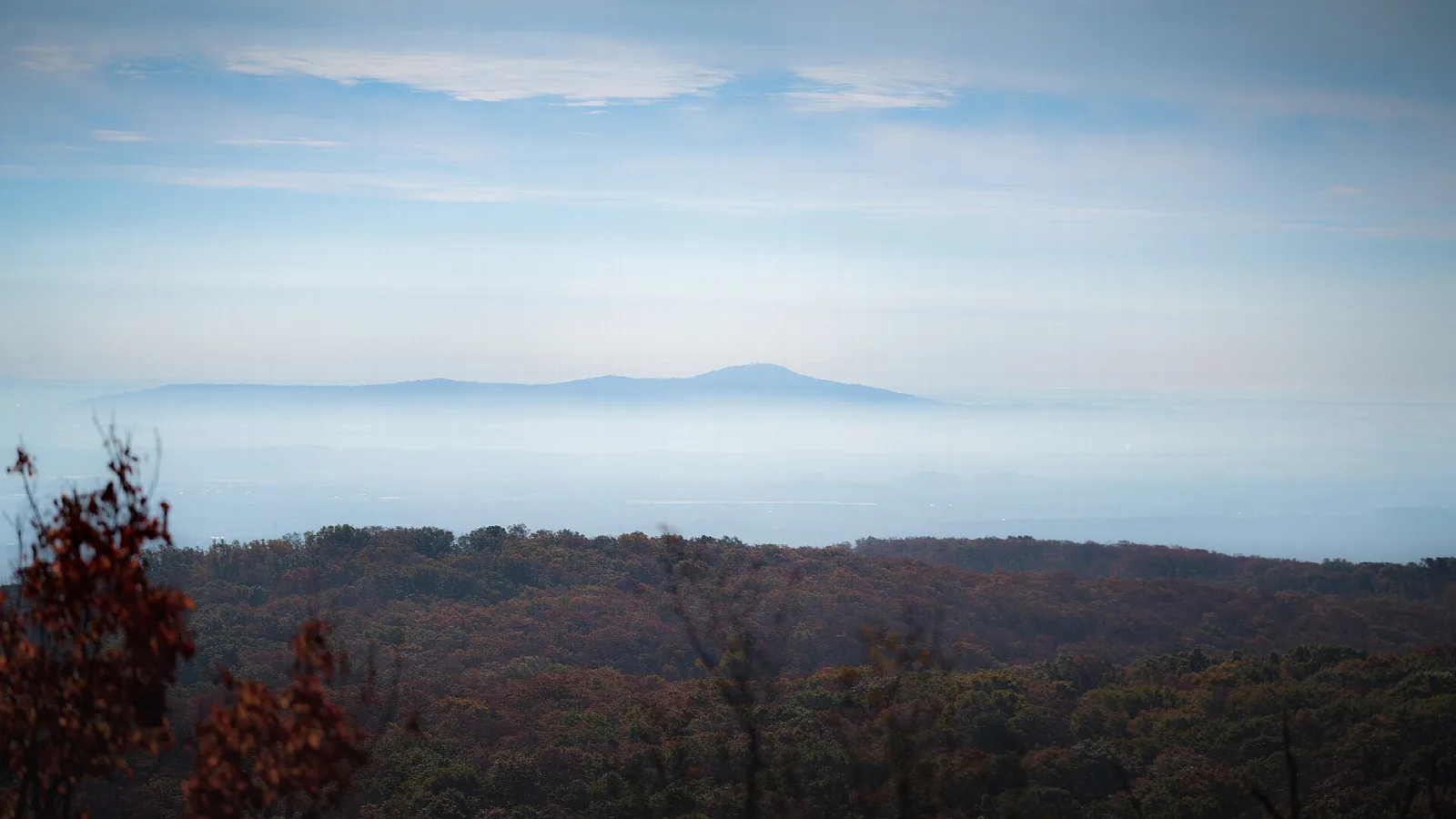 Hazy blue ridgeline over autumn forest seen from an overlook