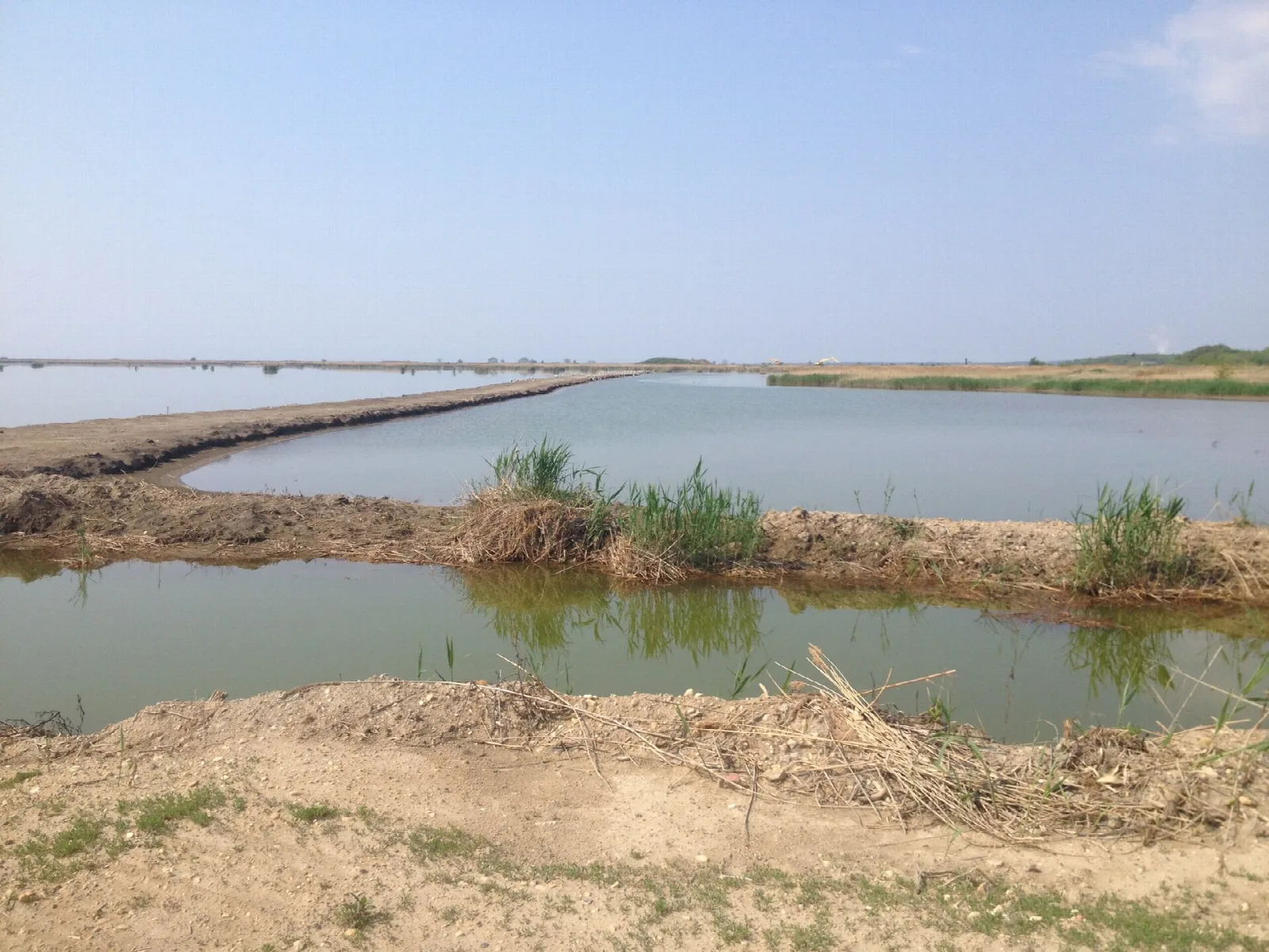 Shallow water and sandy dike banks with reeds under a pale sky