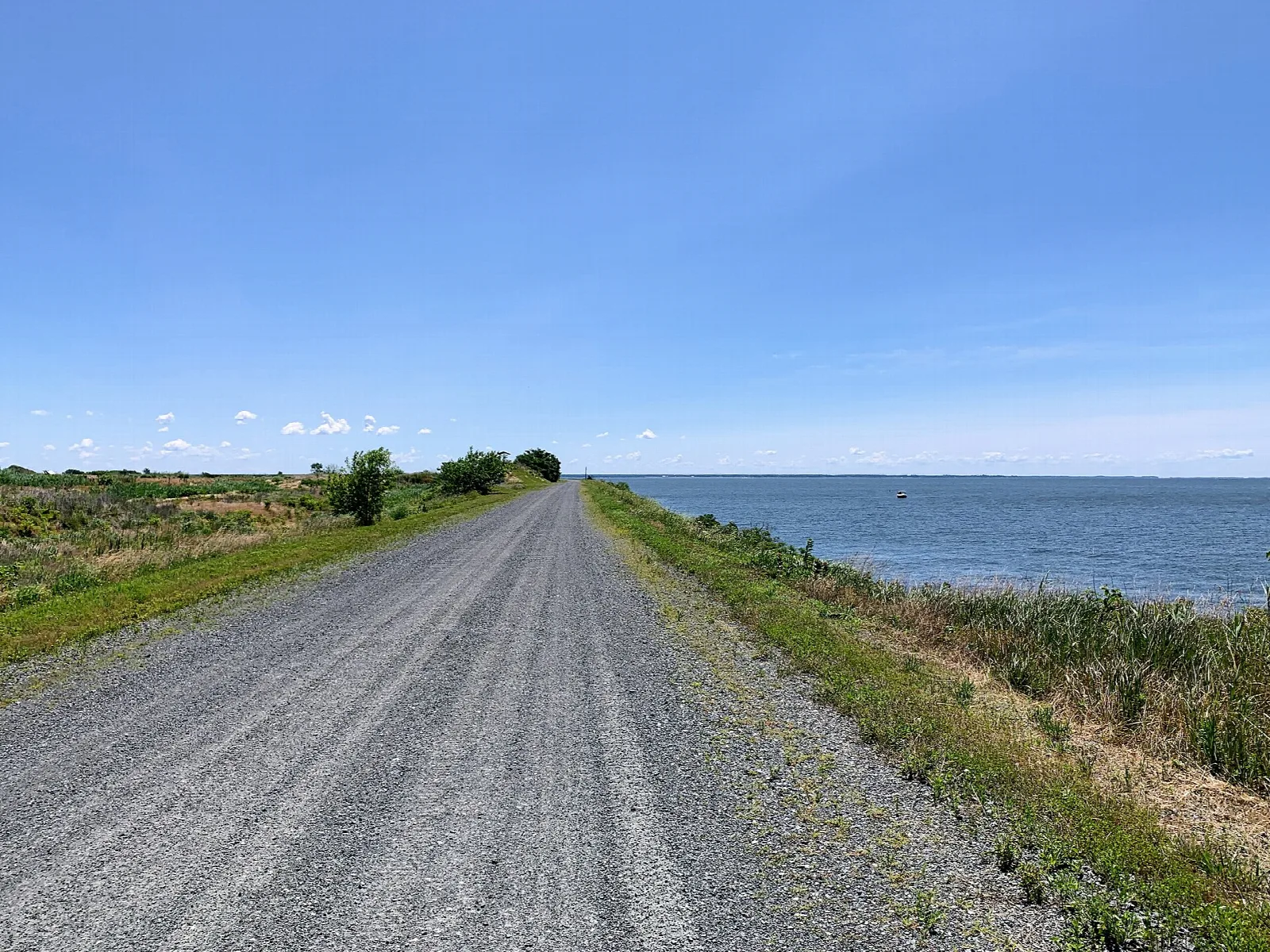 Gravel trail running along a grassy dike beside open bay water