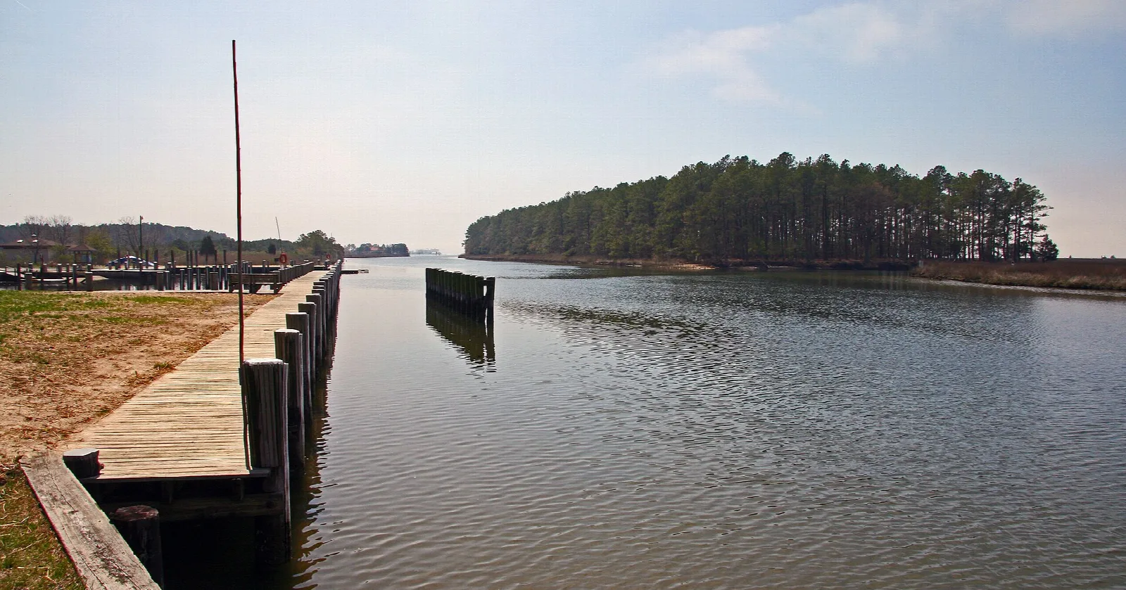 Calm boat channel with a wooden bulkhead and a pine-covered shore