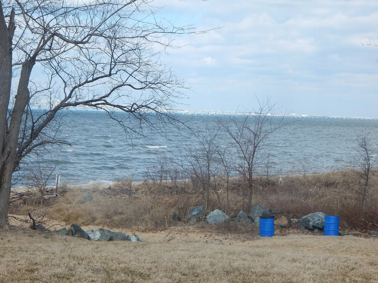 Chesapeake Bay shoreline with bare trees, rocks and blue barrels