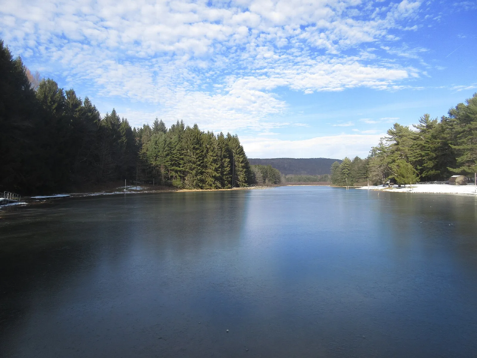 Still lake lined with evergreen trees under a blue sky with clouds