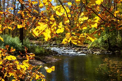 Patapsco Valley State Park