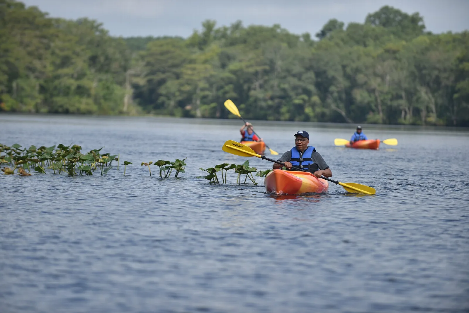 Kayaker on open river water with forest behind