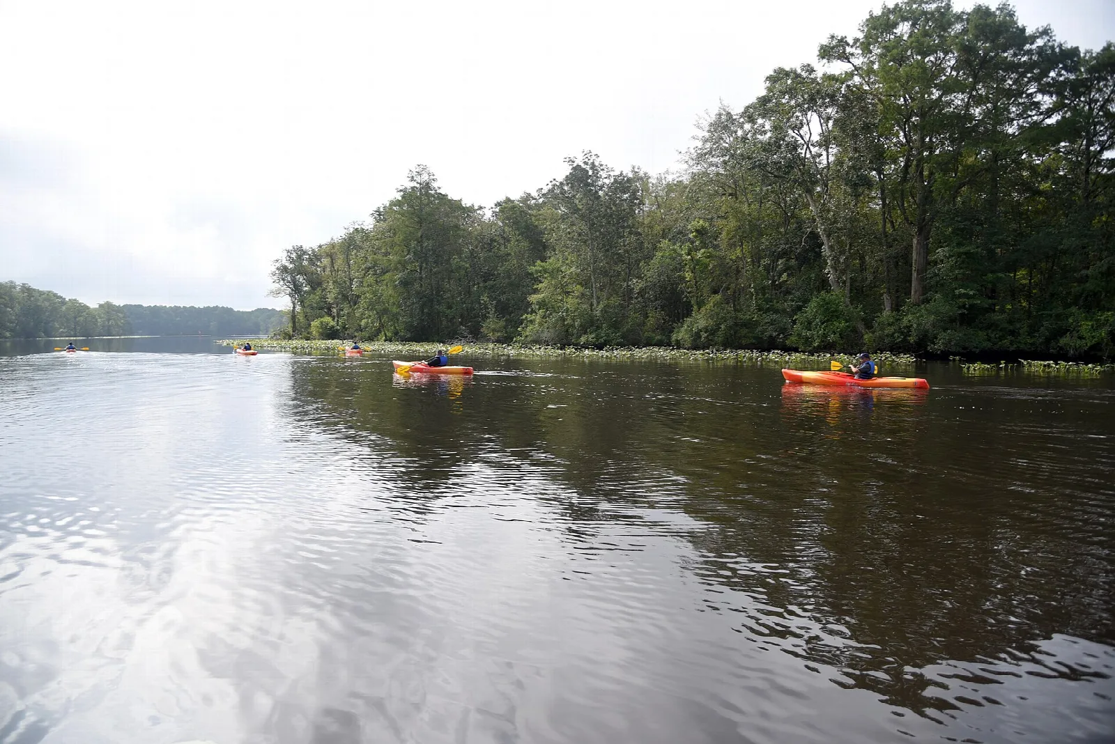 Wide calm river with kayaks in the distance and tree-lined banks