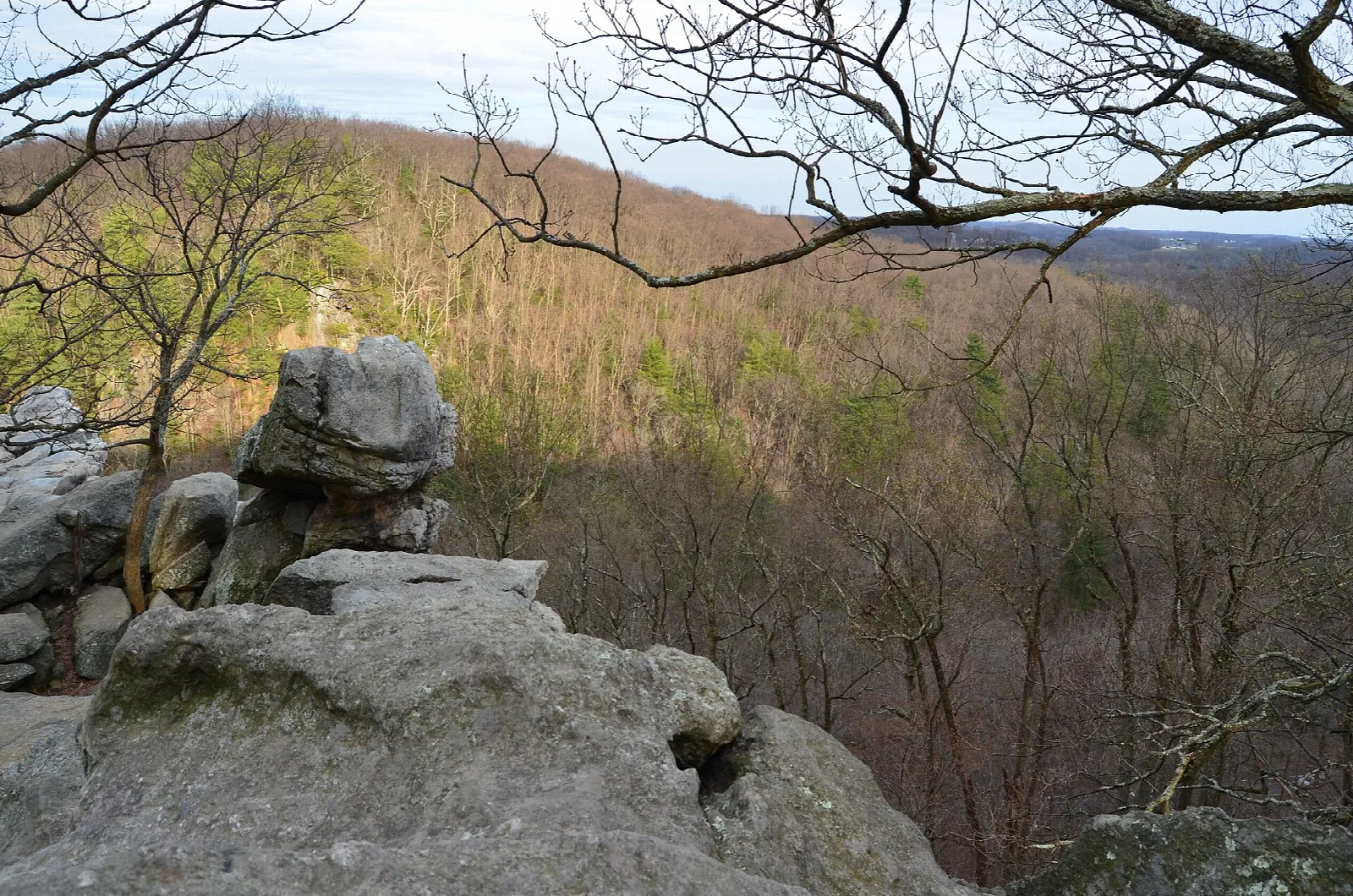 Rock outcrop with balanced boulders above a wooded hillside