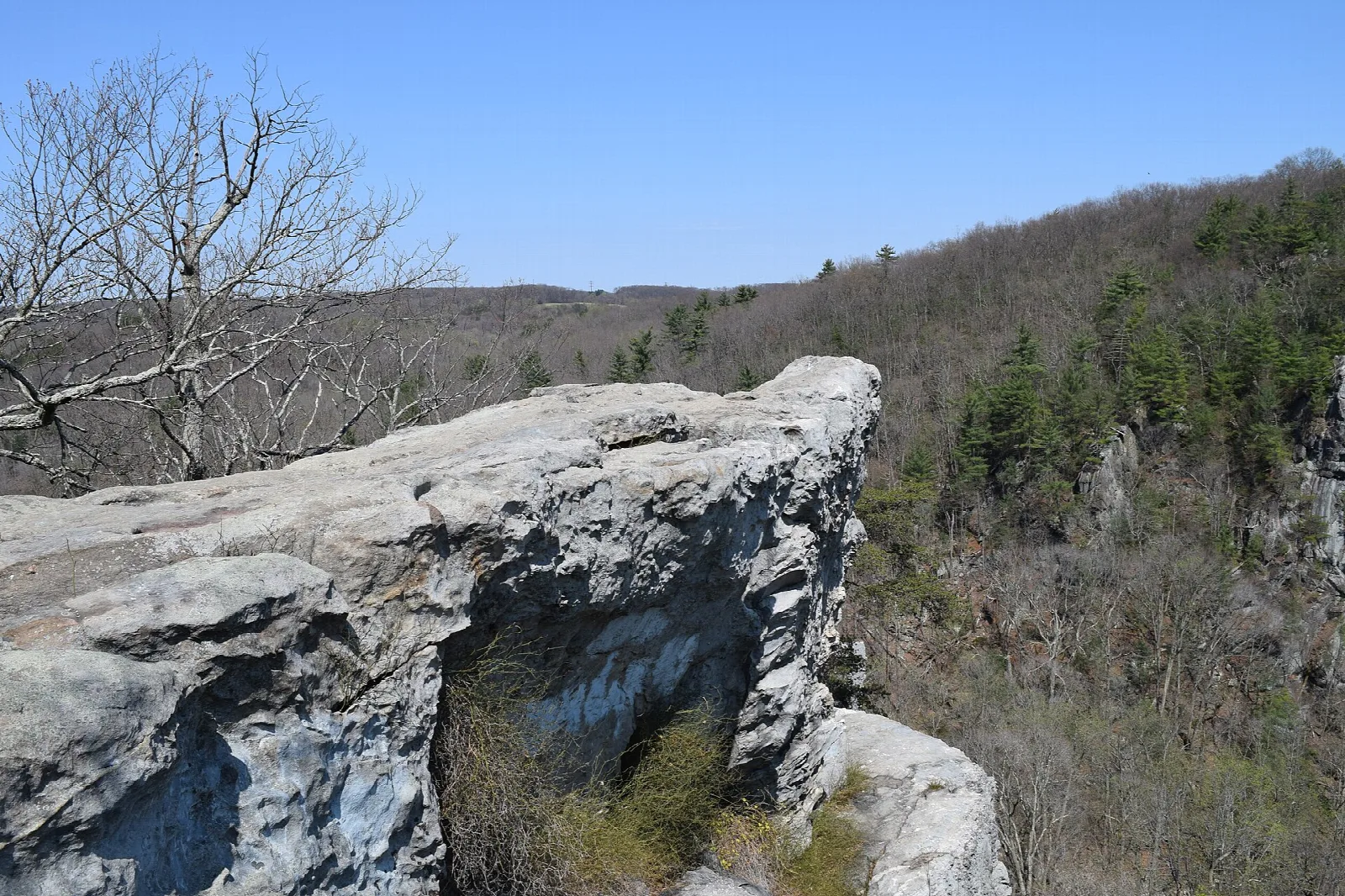Gray rock outcrop at a hilltop overlook above a forested valley under blue sky