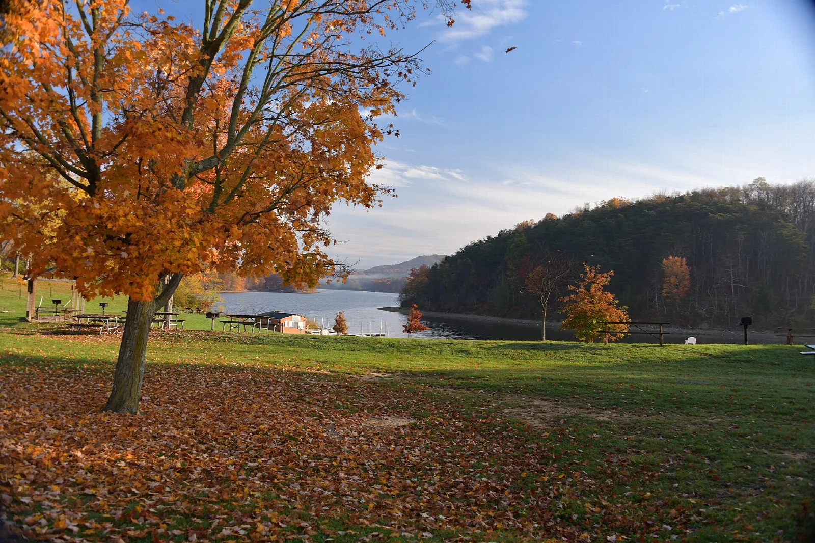 Autumn maple beside a grassy lakeshore with forested hills across the water