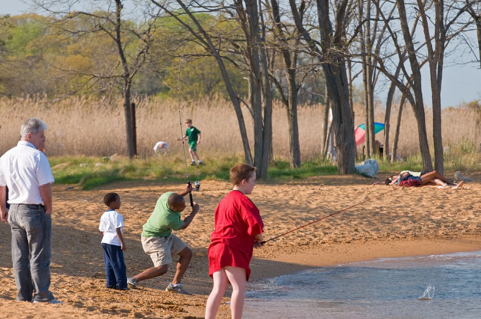 Adults and children on a sandy shore beside tall marsh grass
