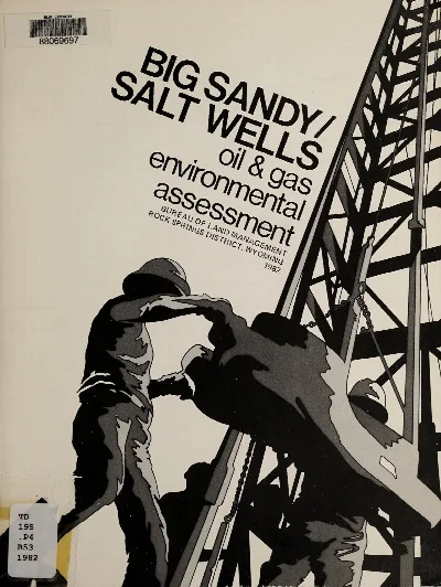 Black Sandy