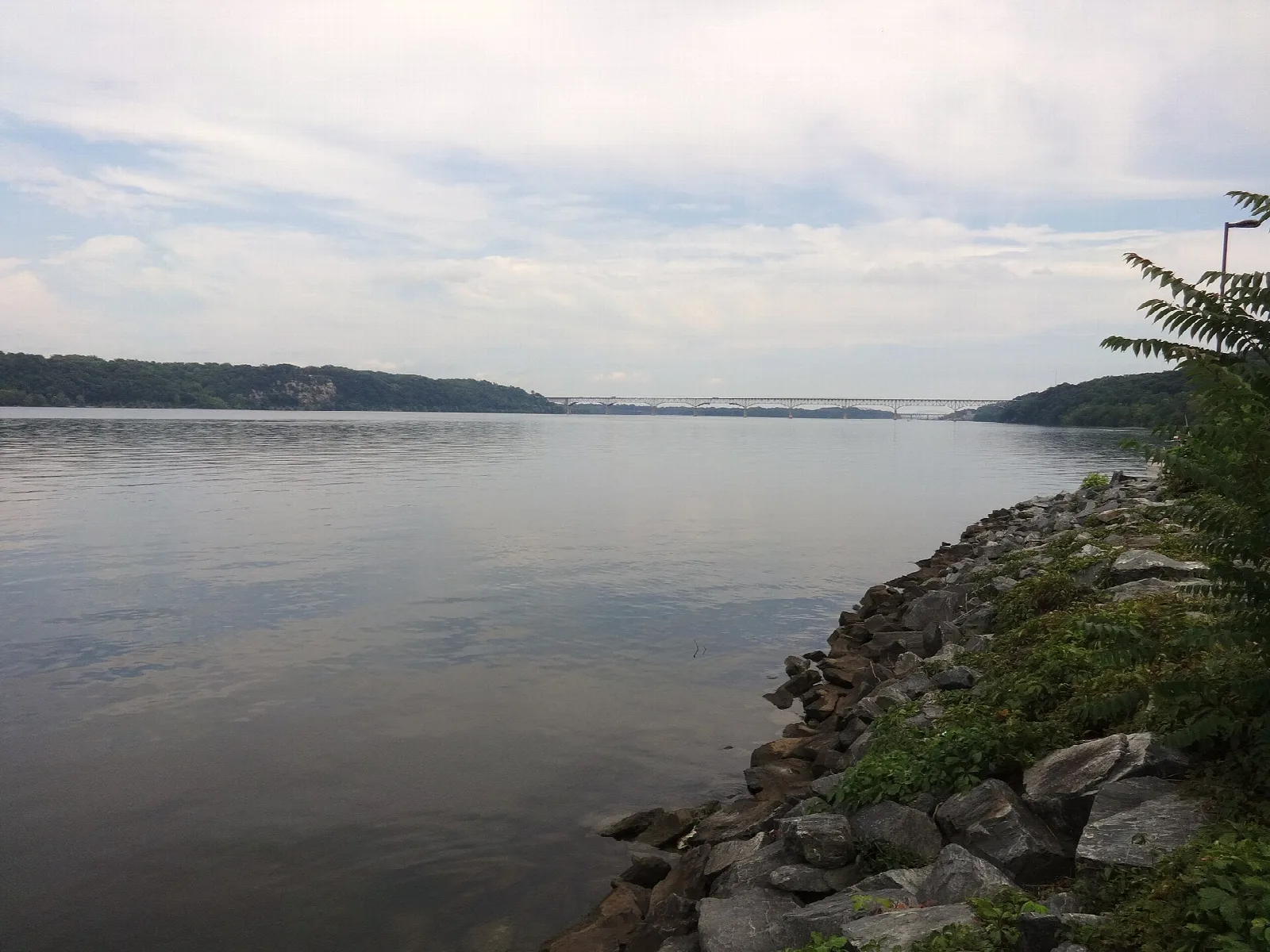 Wide river shore with rocks at the edge and a distant tree line