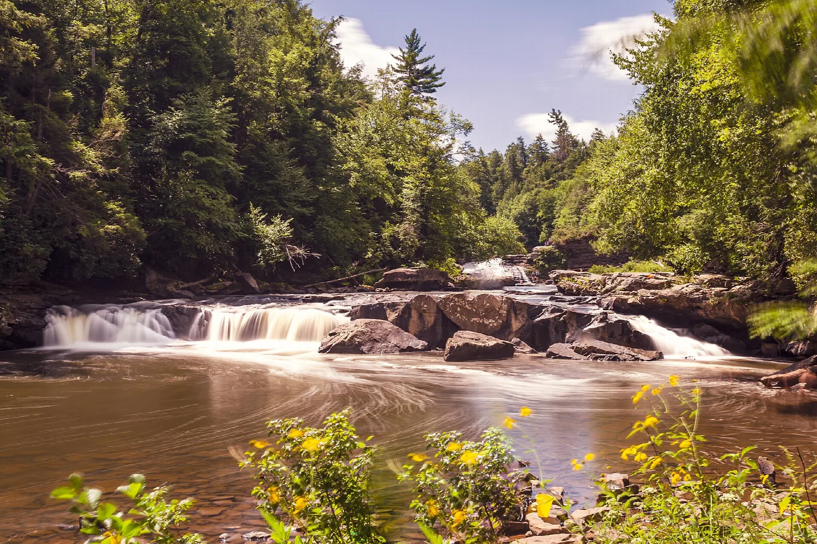 Long-exposure river cascading over flat rocks among trees