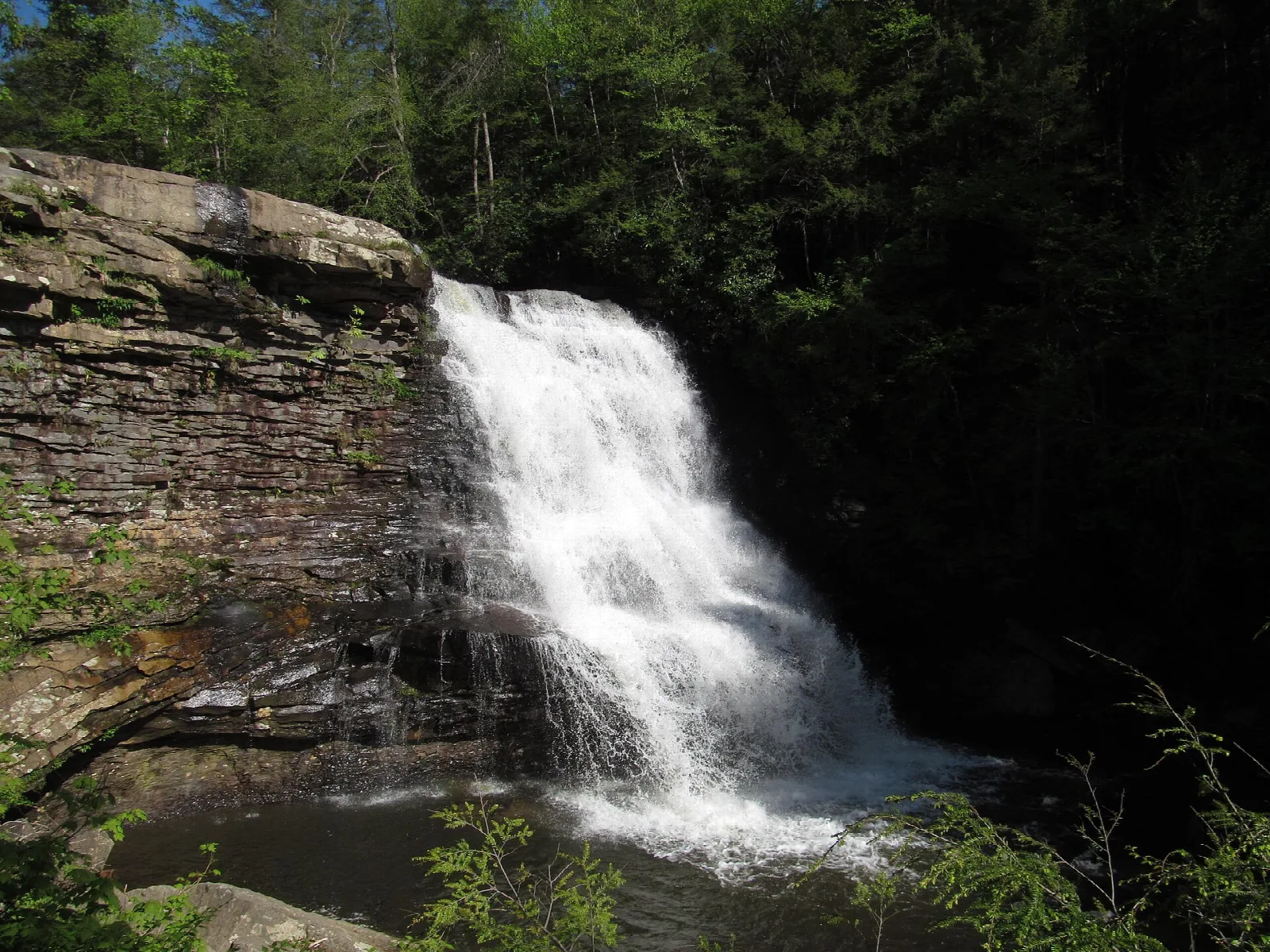 Waterfall dropping beside a dark rock wall into a pool in the woods