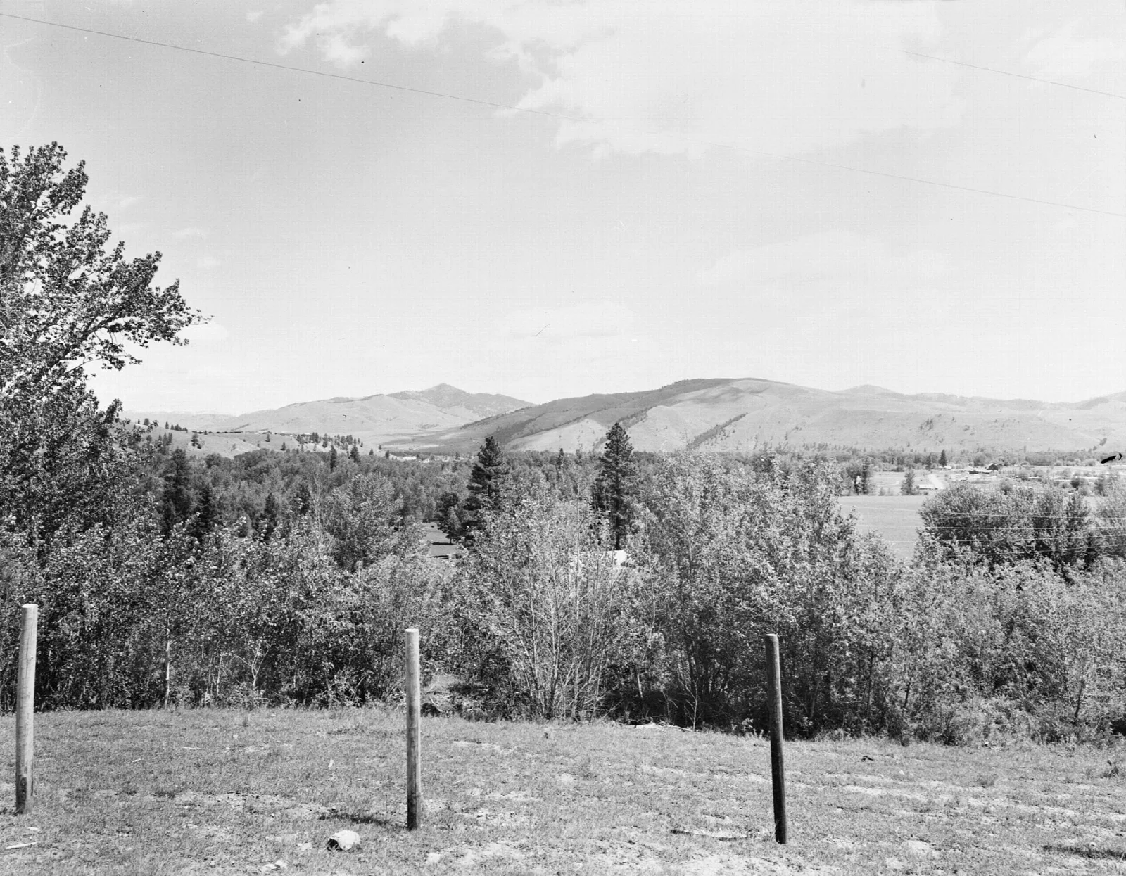 Black and white view of trees and mountains across an open field