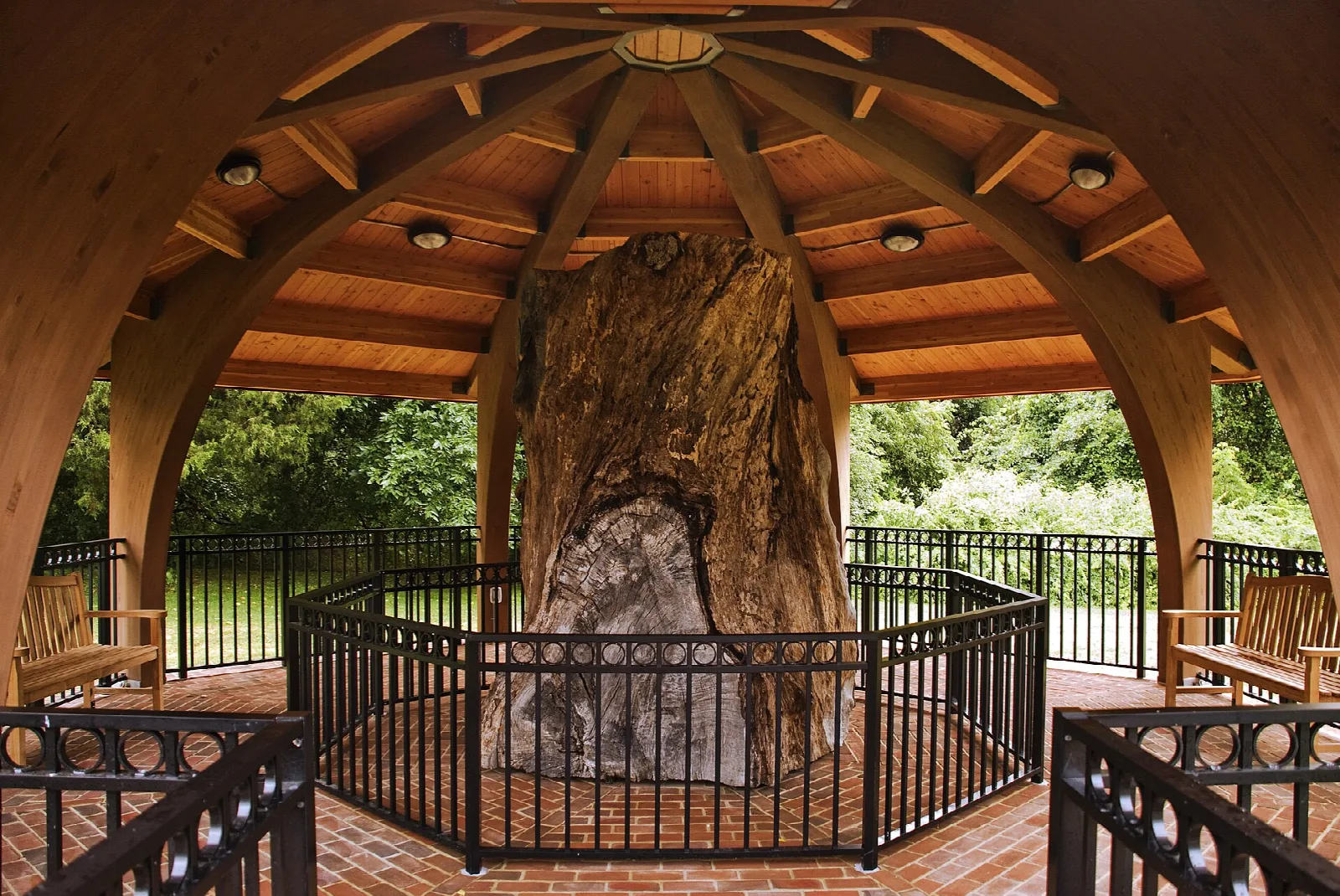 Wooden pavilion sheltering a large tree trunk section behind an iron fence