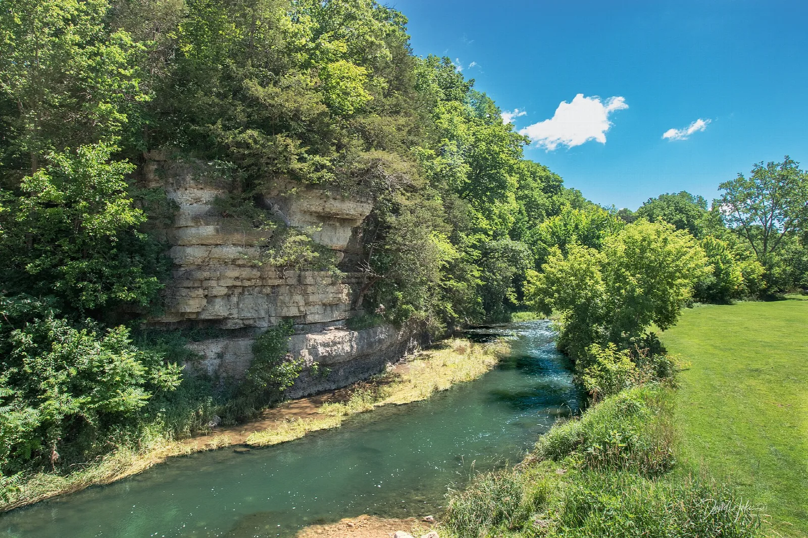 Turquoise river below a limestone bluff with green trees and a grassy bank