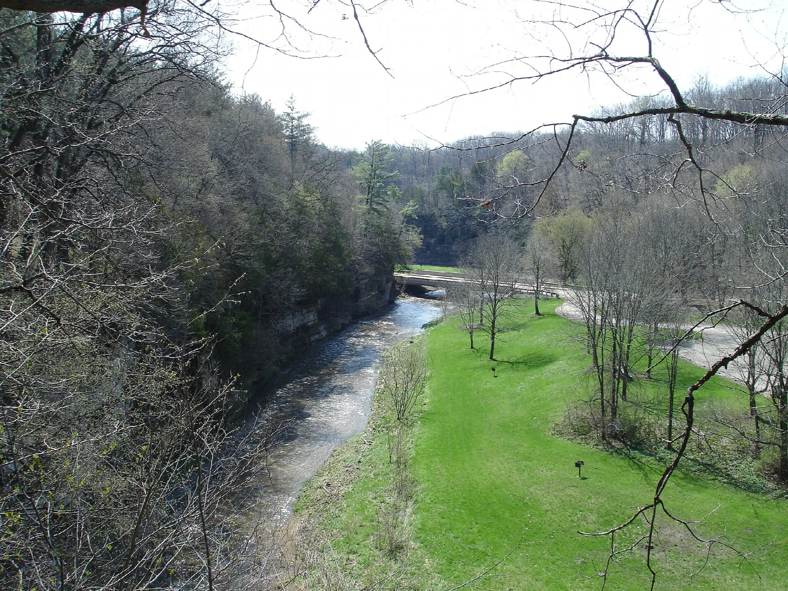 River winding through a wooded canyon beside a grassy flat