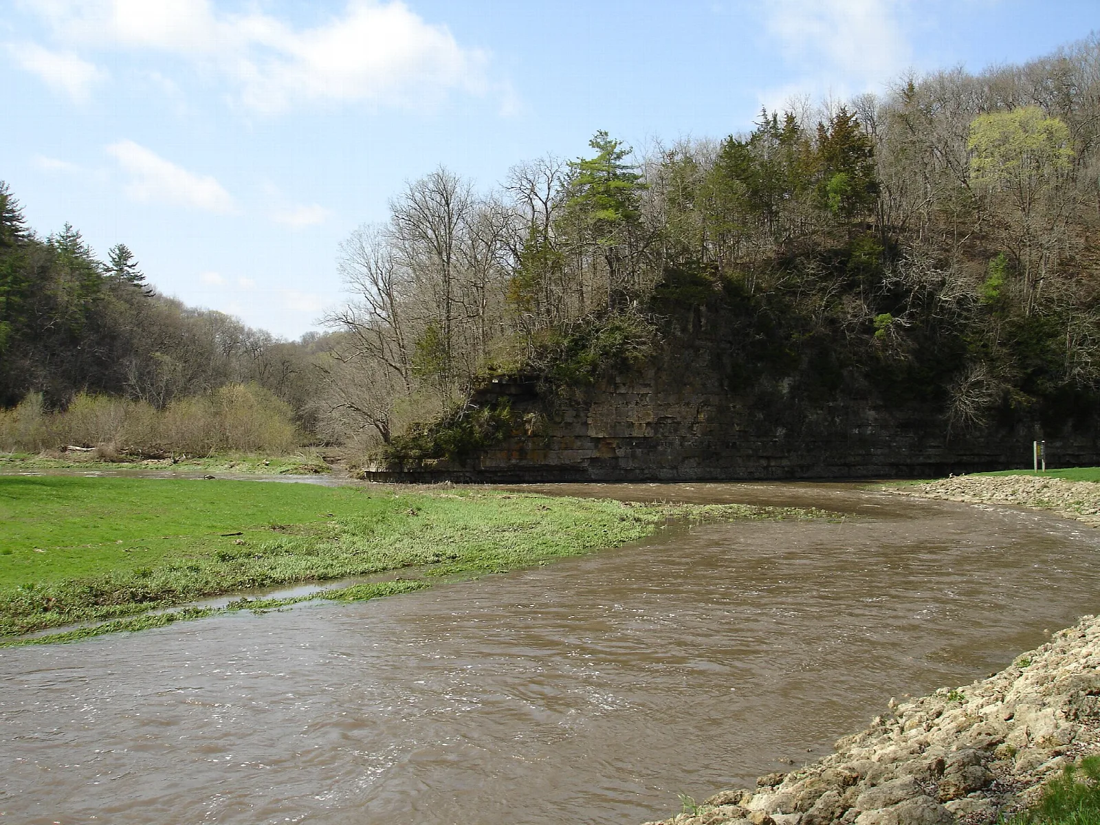 Brown river curving past a grassy bank and wooded bluff
