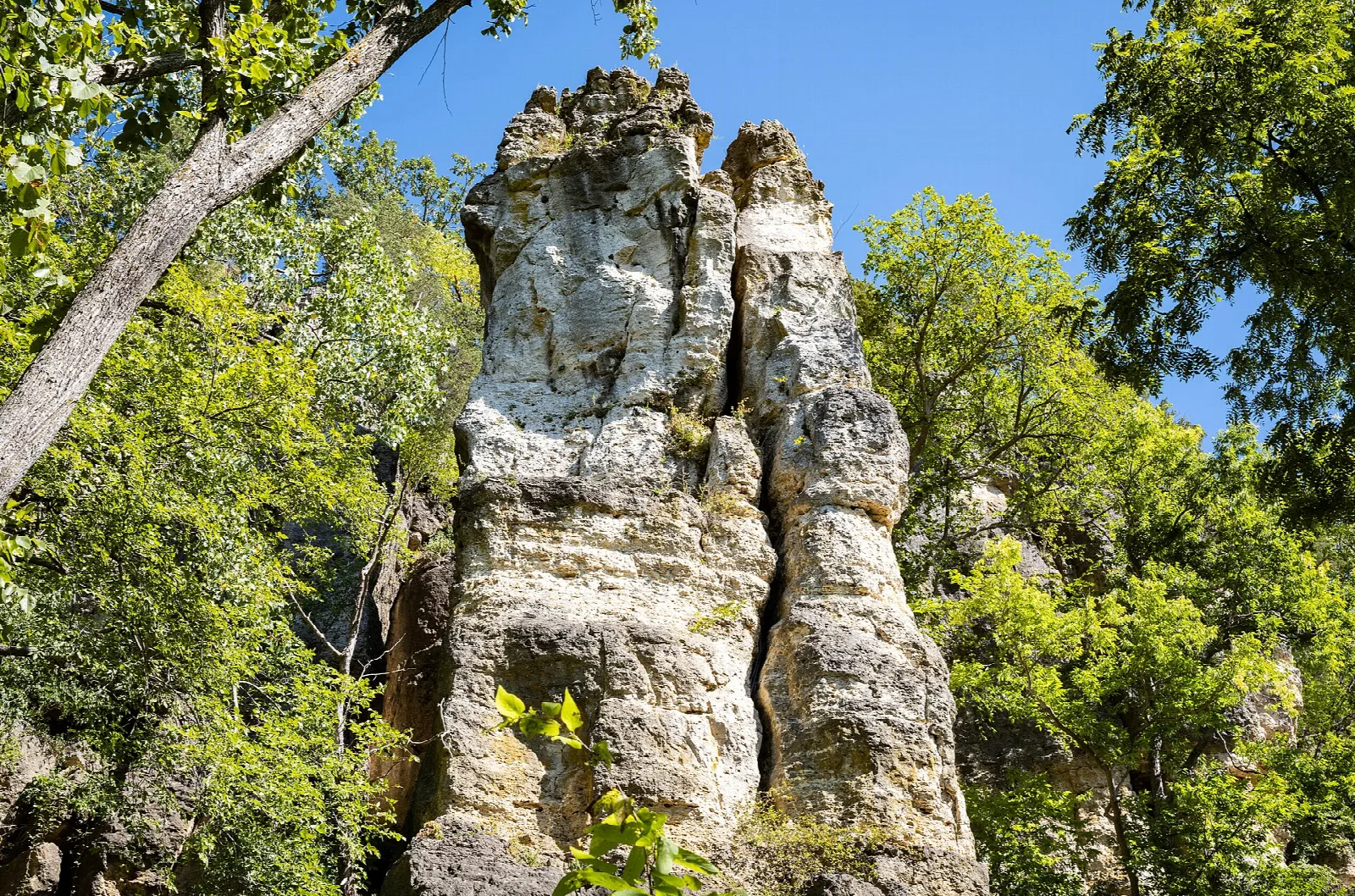 Tall limestone rock pillar among green trees