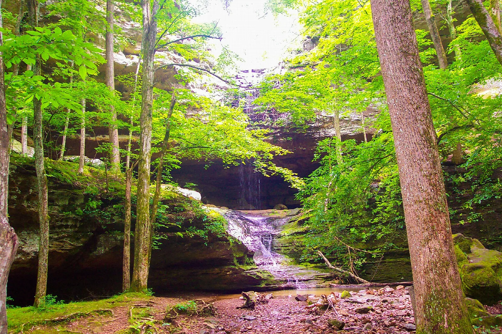 Small waterfall over a rock ledge framed by green trees
