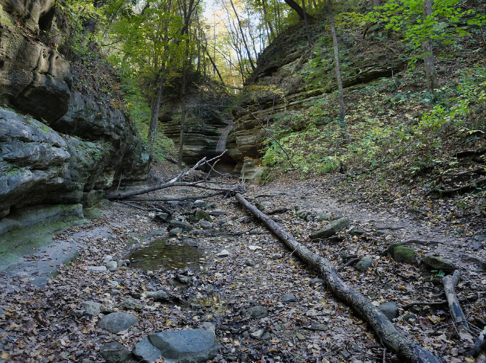 Dry rocky streambed beneath sandstone walls and trees