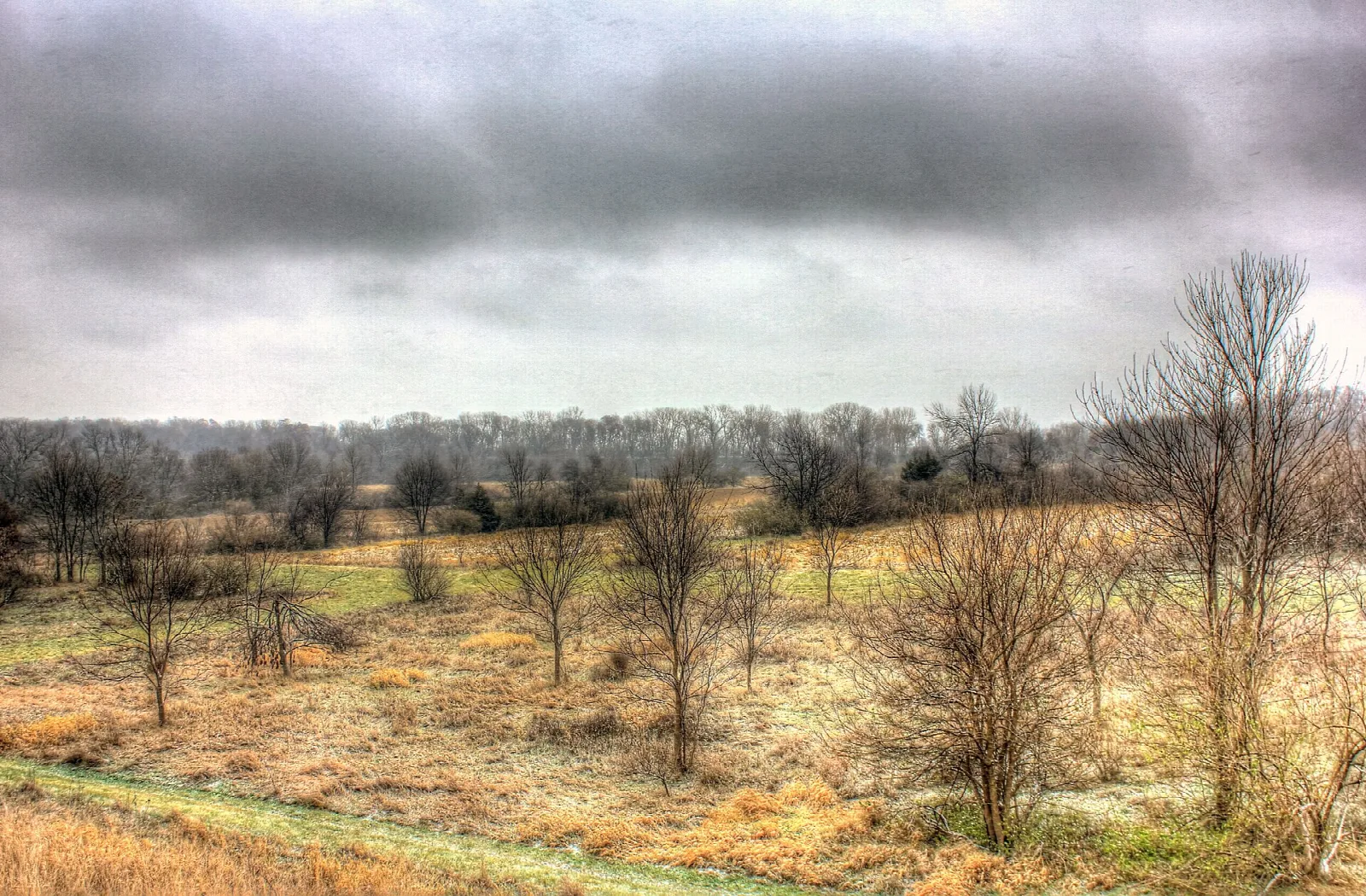 Open prairie with bare trees under heavy clouds