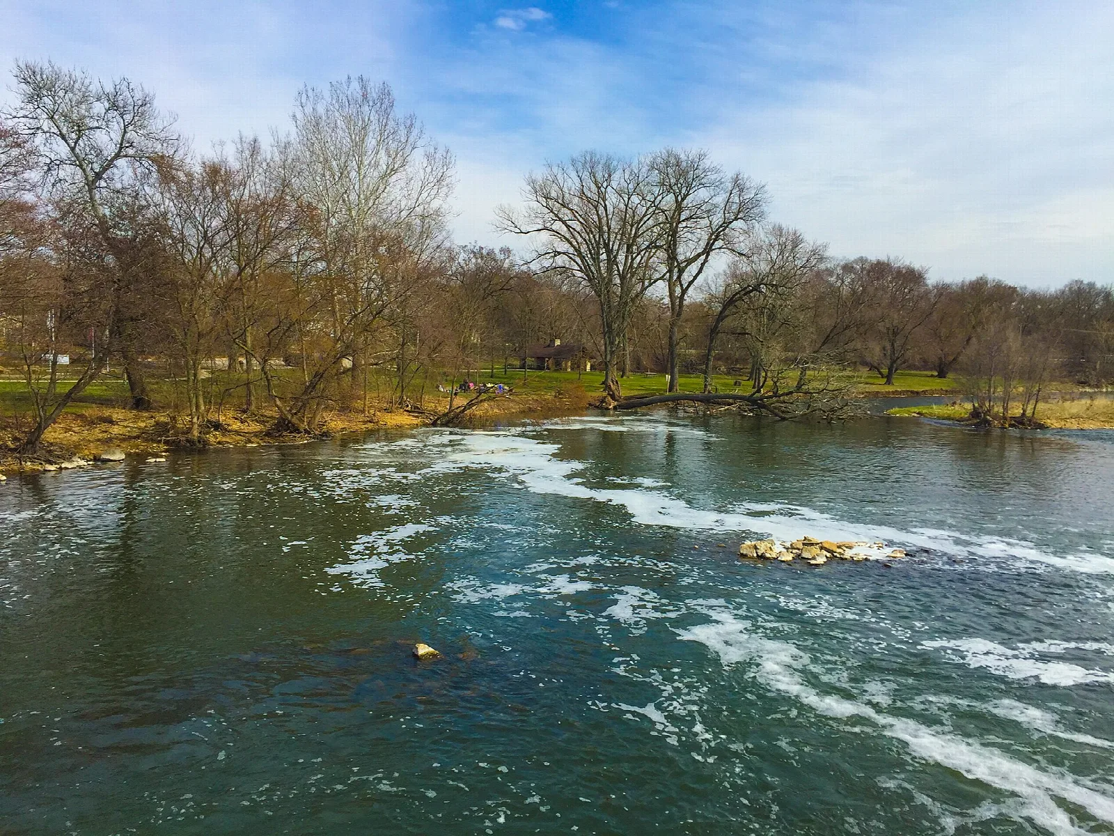 River rapids flowing past a bare-treed bank
