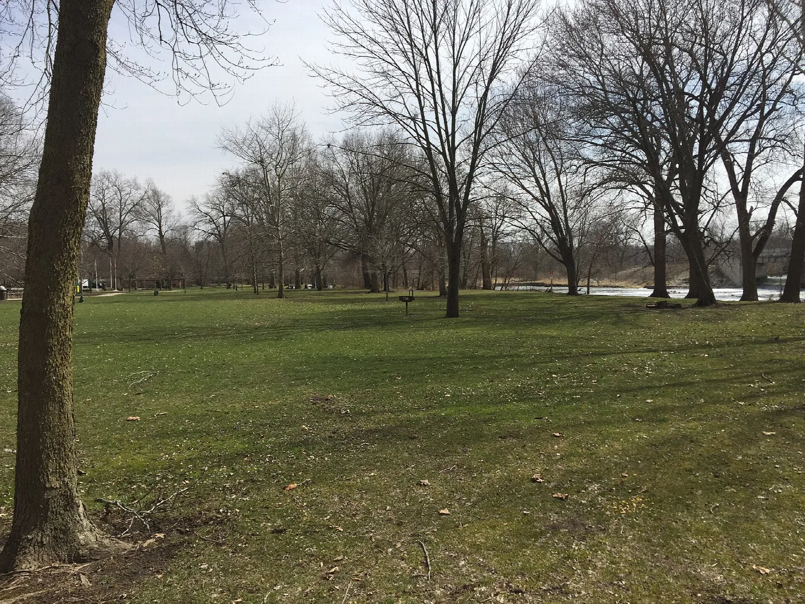 Open grass lawn with bare trees in early spring