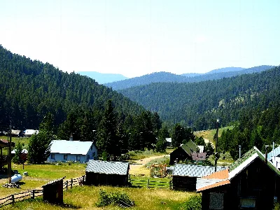 Elkhorn