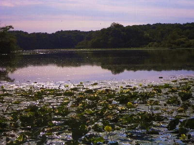 Morrison-Rockwood State Park