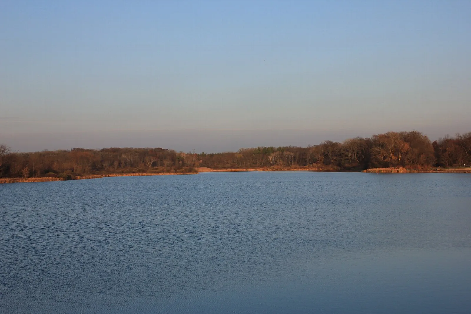 Calm lake at dusk with a distant tree line