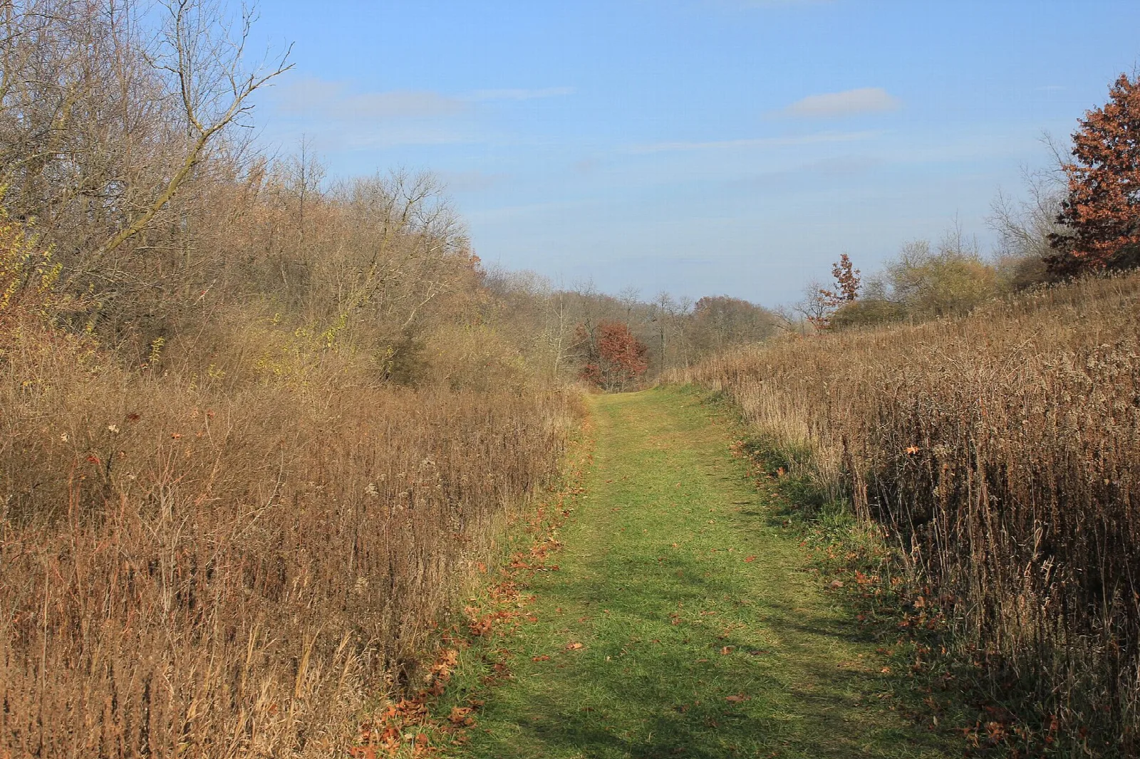 Mown grass trail between dry prairie grasses on a hillside