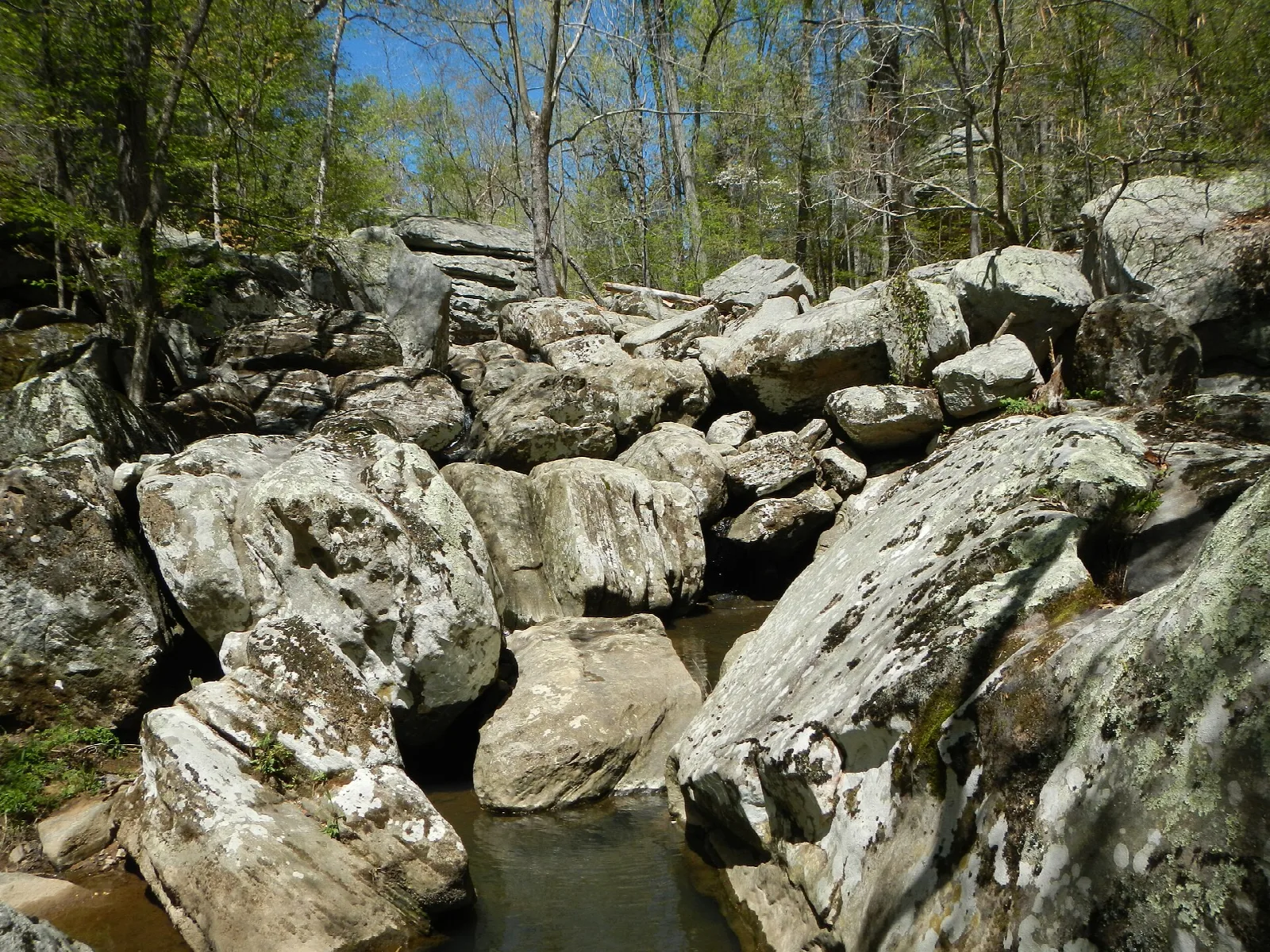 Jumble of large boulders in a stream with woods above