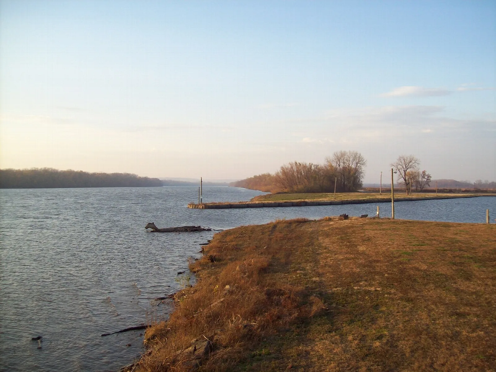 Grassy bank and a calm river with a low wooded island in the distance