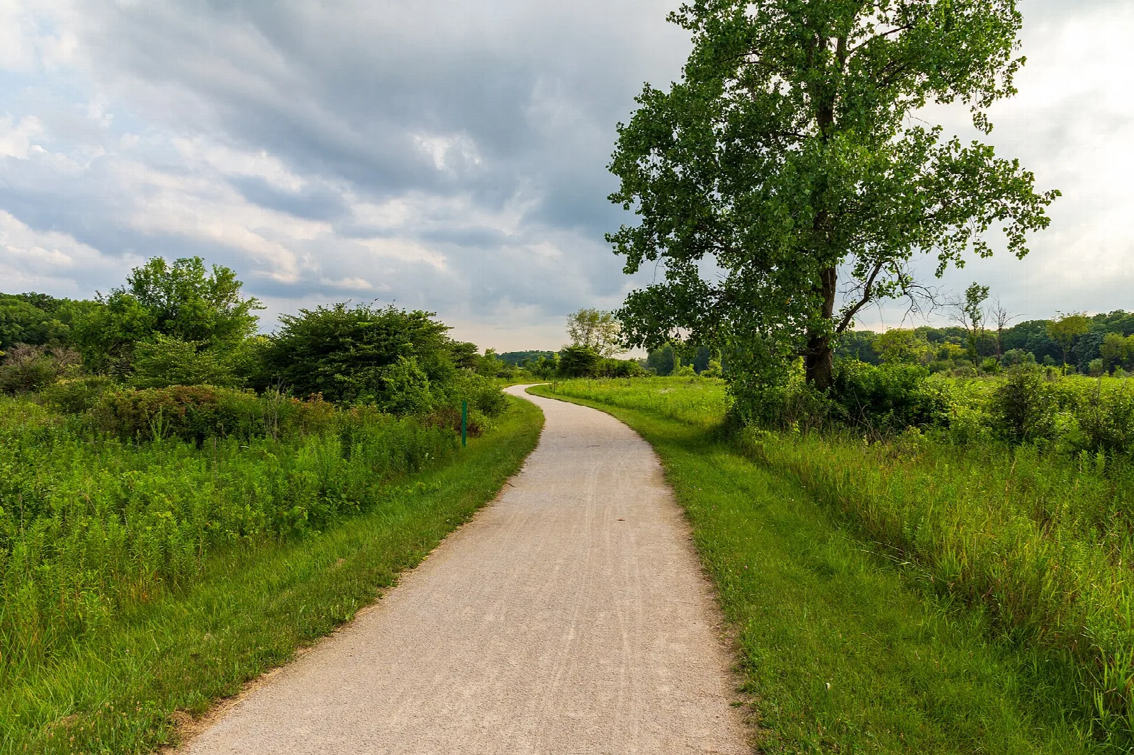 Gravel trail through green grass beside a large tree under cloudy sky