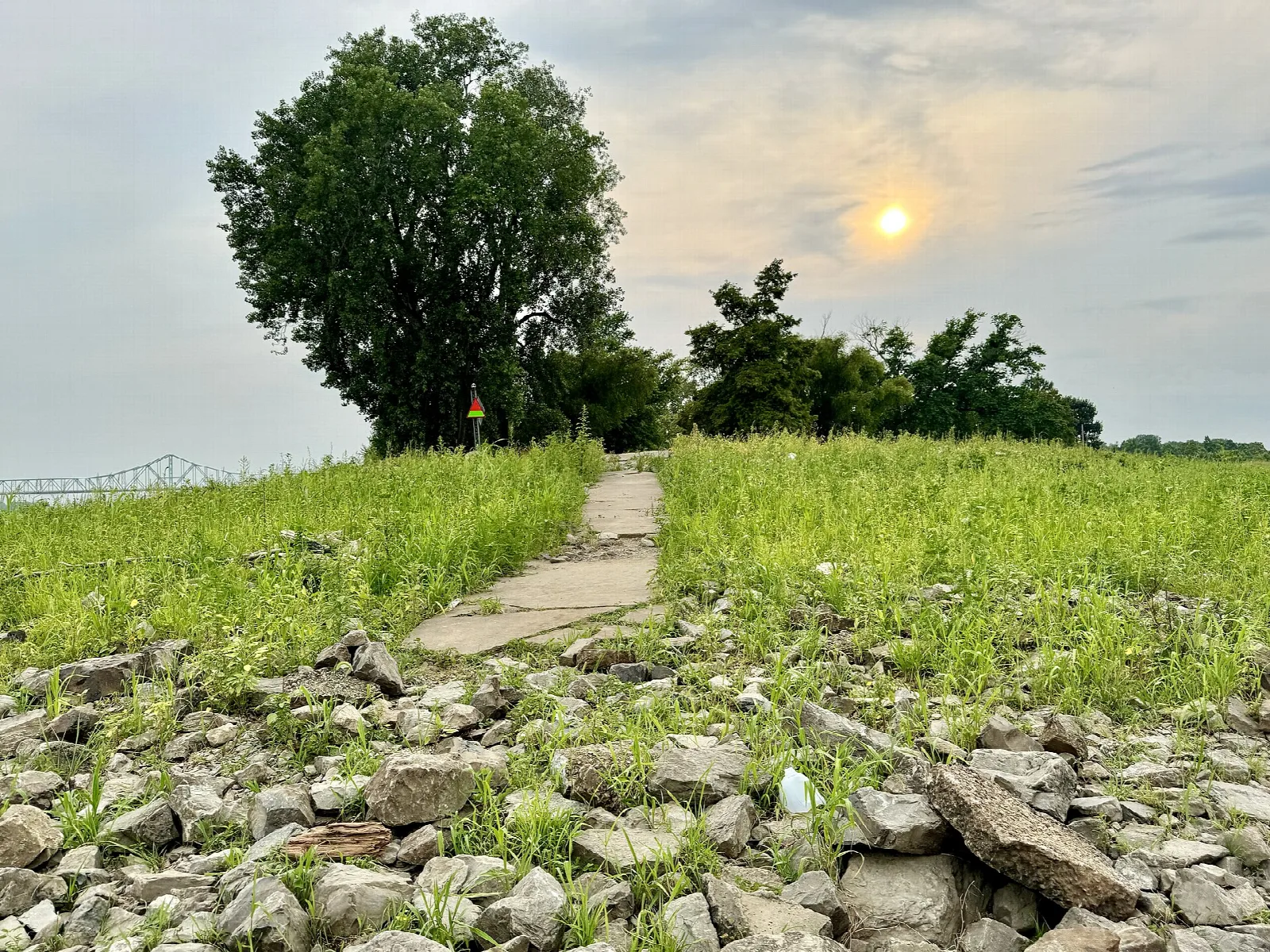 Grassy riverbank path with rocks and a distant bridge at sunset