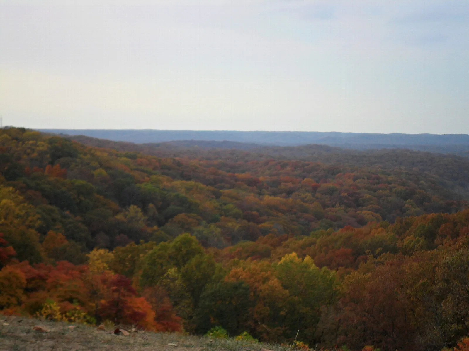 Wide view over layered forested ridges in autumn color