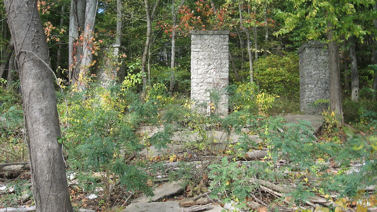 Two stone gate pillars standing among weeds and trees