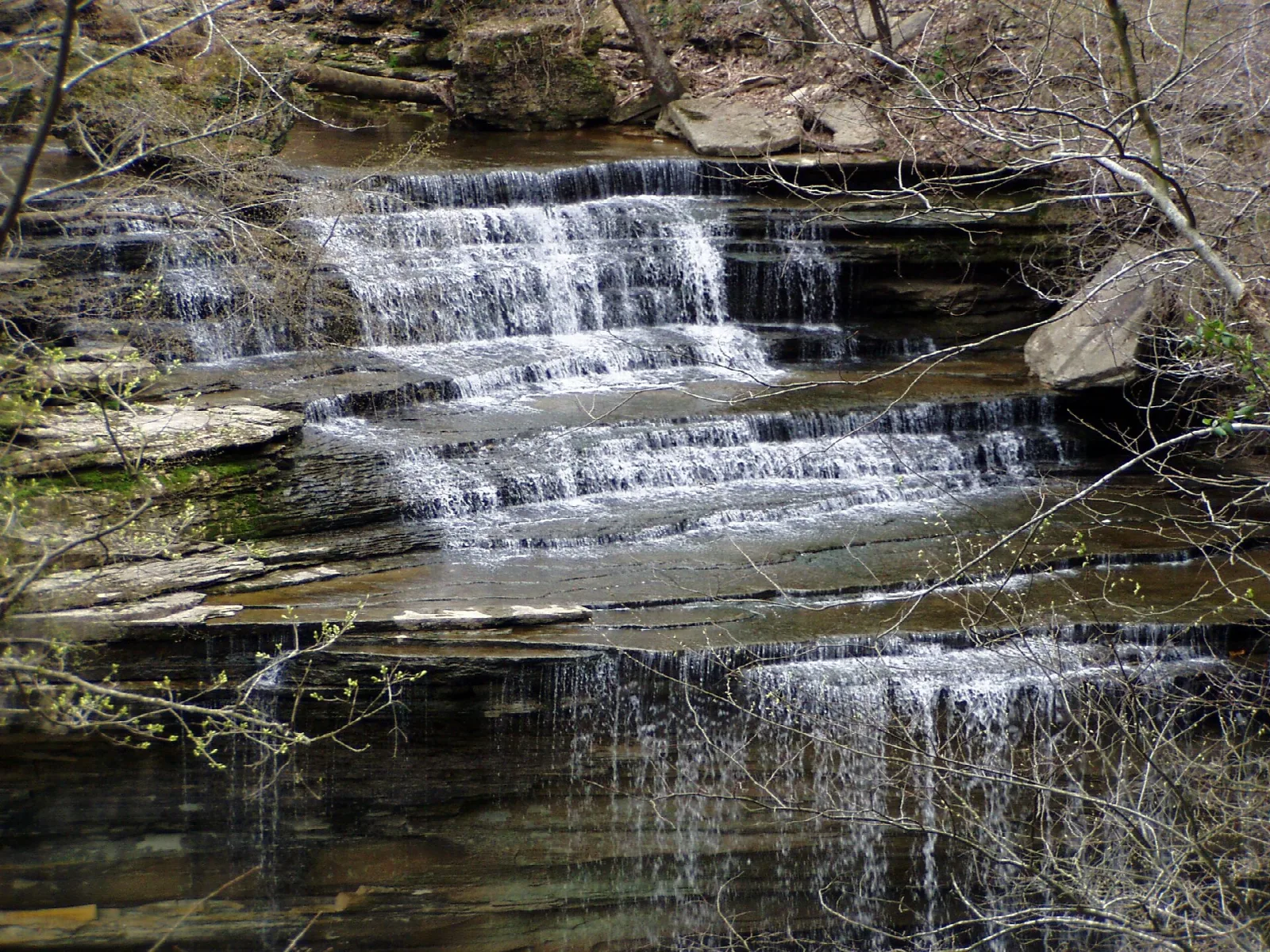 Water cascading over stepped rock ledges in a wooded gorge