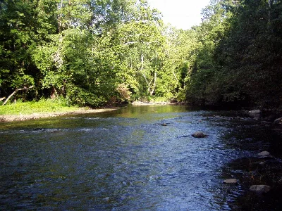 Fort Harrison State Park