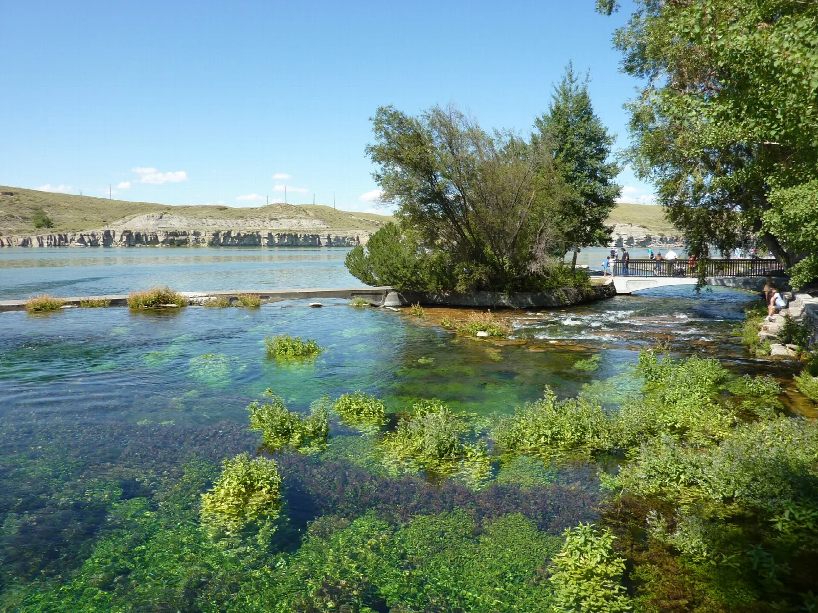 Clear green spring pool with water plants and a small tree-covered island, bluffs beyond