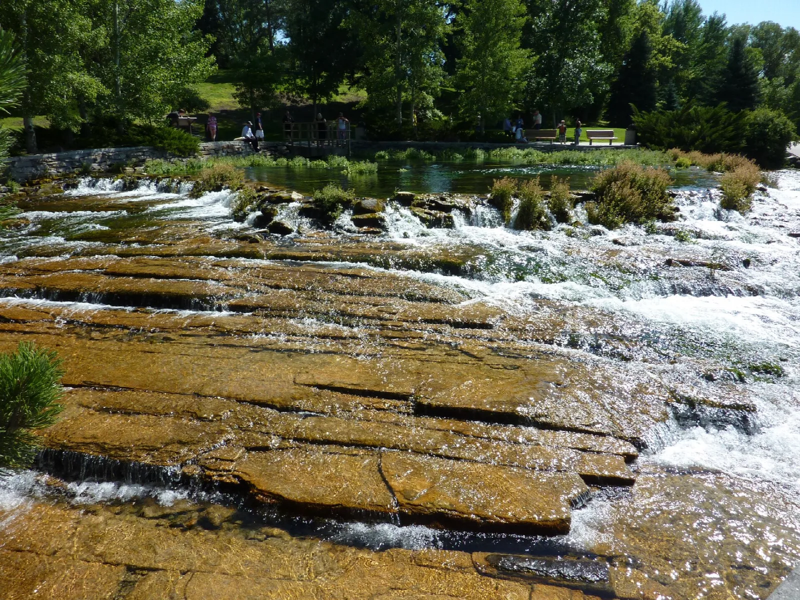 Shallow water running over flat layered rock ledges with trees behind