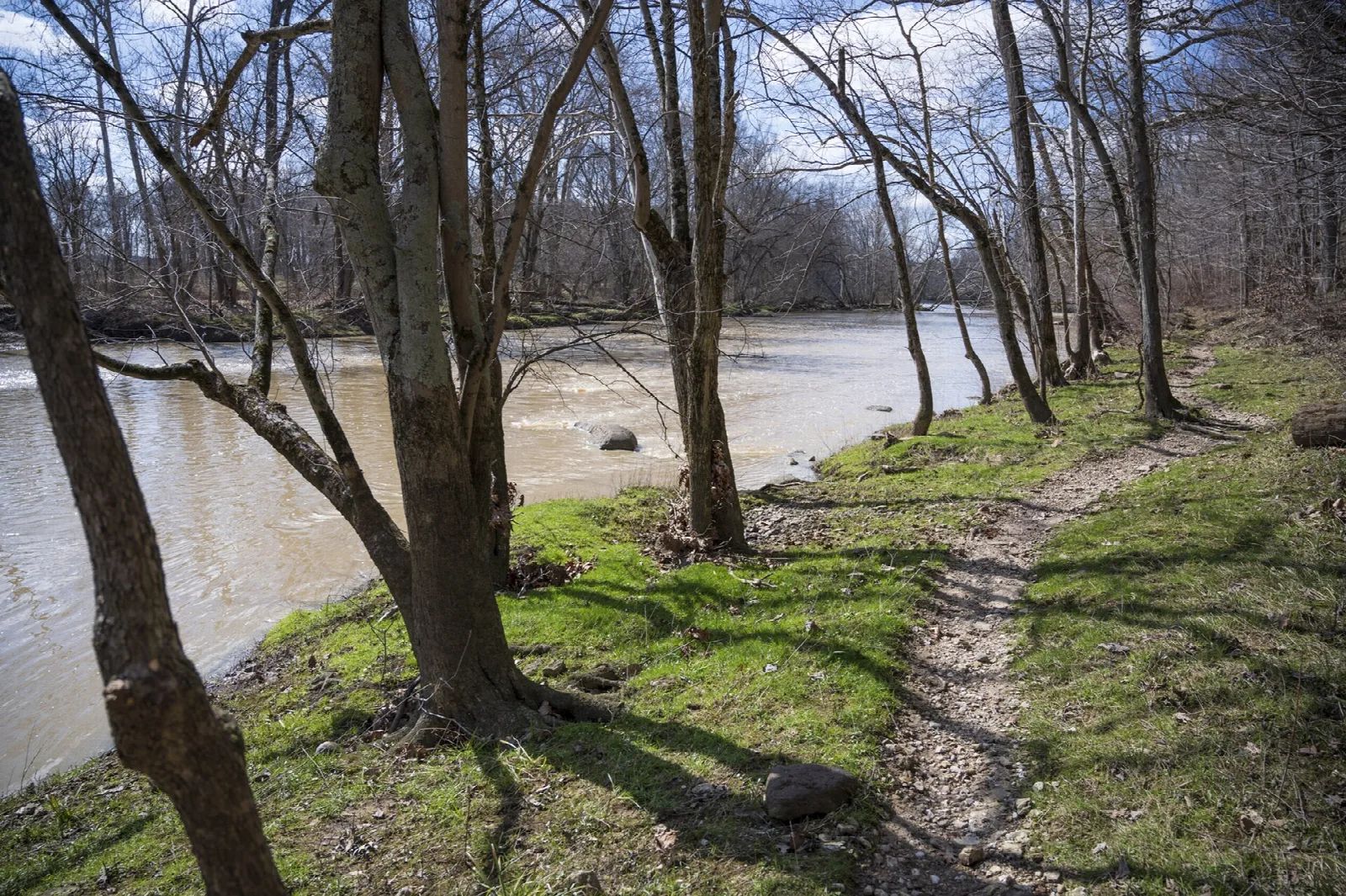 Dirt trail along a muddy river bank under bare trees