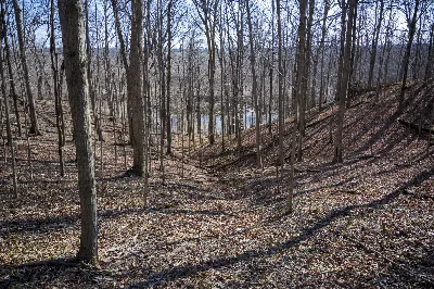 Frances Slocum State Forest